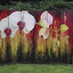 Anne Drouin