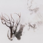 Inspiration venant de la terre de Denise Guay