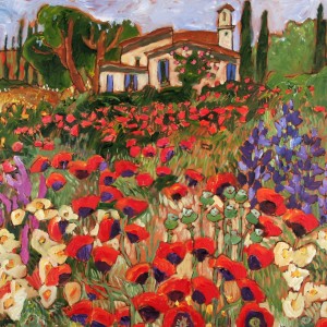 Pavots en Toscane