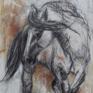 Charmeur, fusain-pastel acrylique, 36 x 24 po